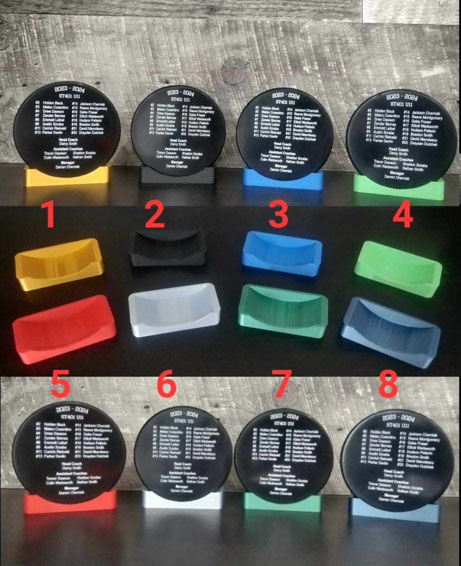 BULK/WHOLESALE Color Printed Hockey Pucks