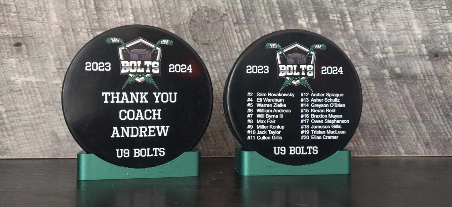 BULK/WHOLESALE Color Printed Hockey Pucks