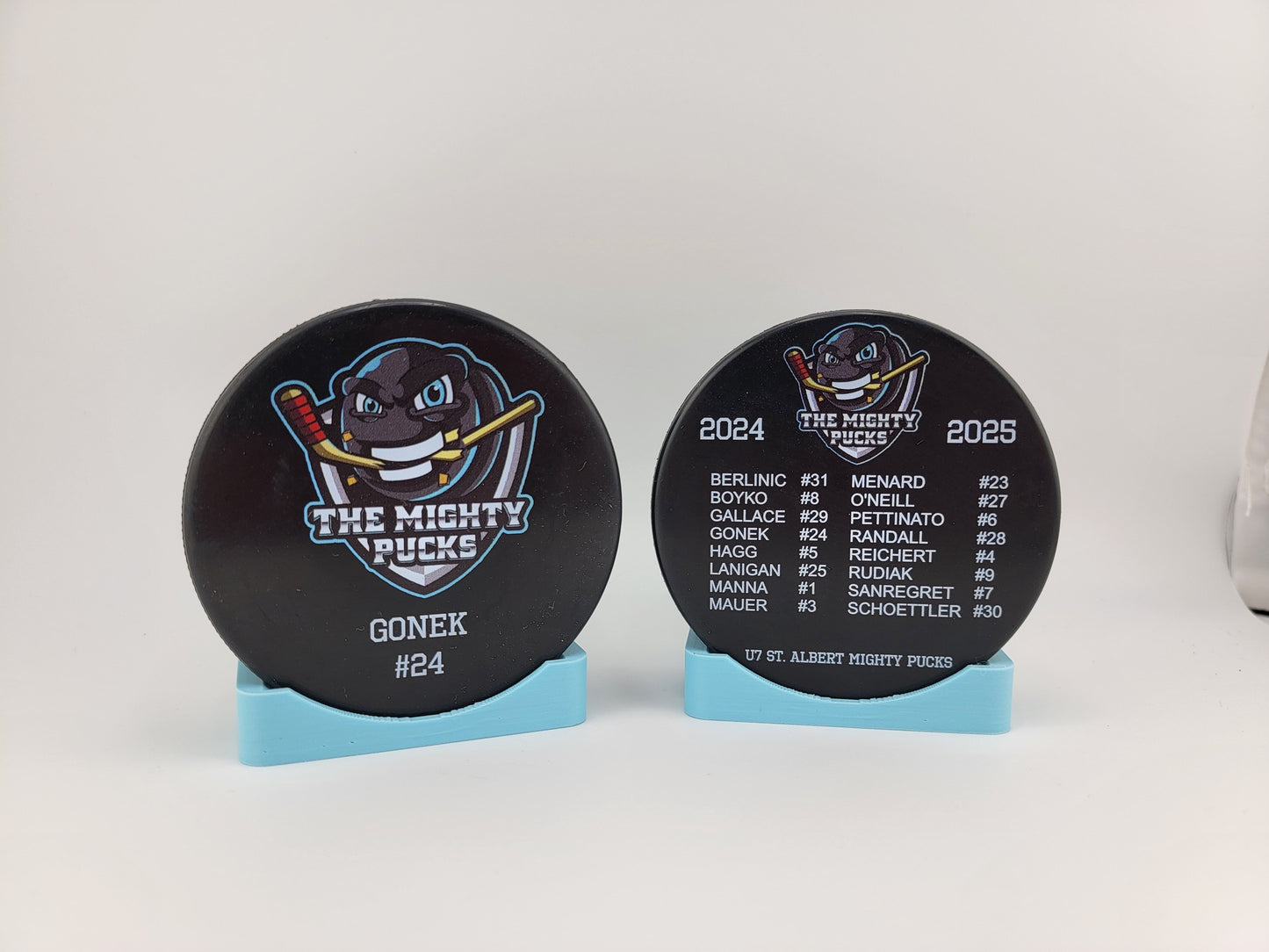 BULK/WHOLESALE Color Printed Hockey Pucks