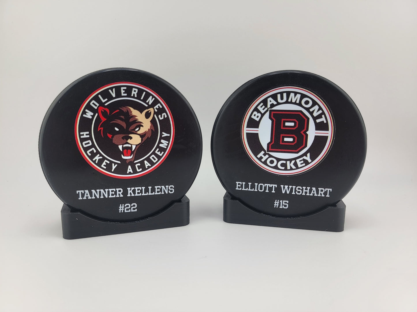 BULK/WHOLESALE Color Printed Hockey Pucks