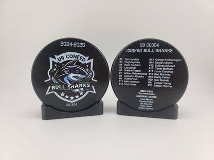 EXPRESS Custom Roster Puck, Year End Player Coach Gift, Team Logo Sport Gift, Personalized Ice Hockey Pucks, Team Memorabilia, UV printed