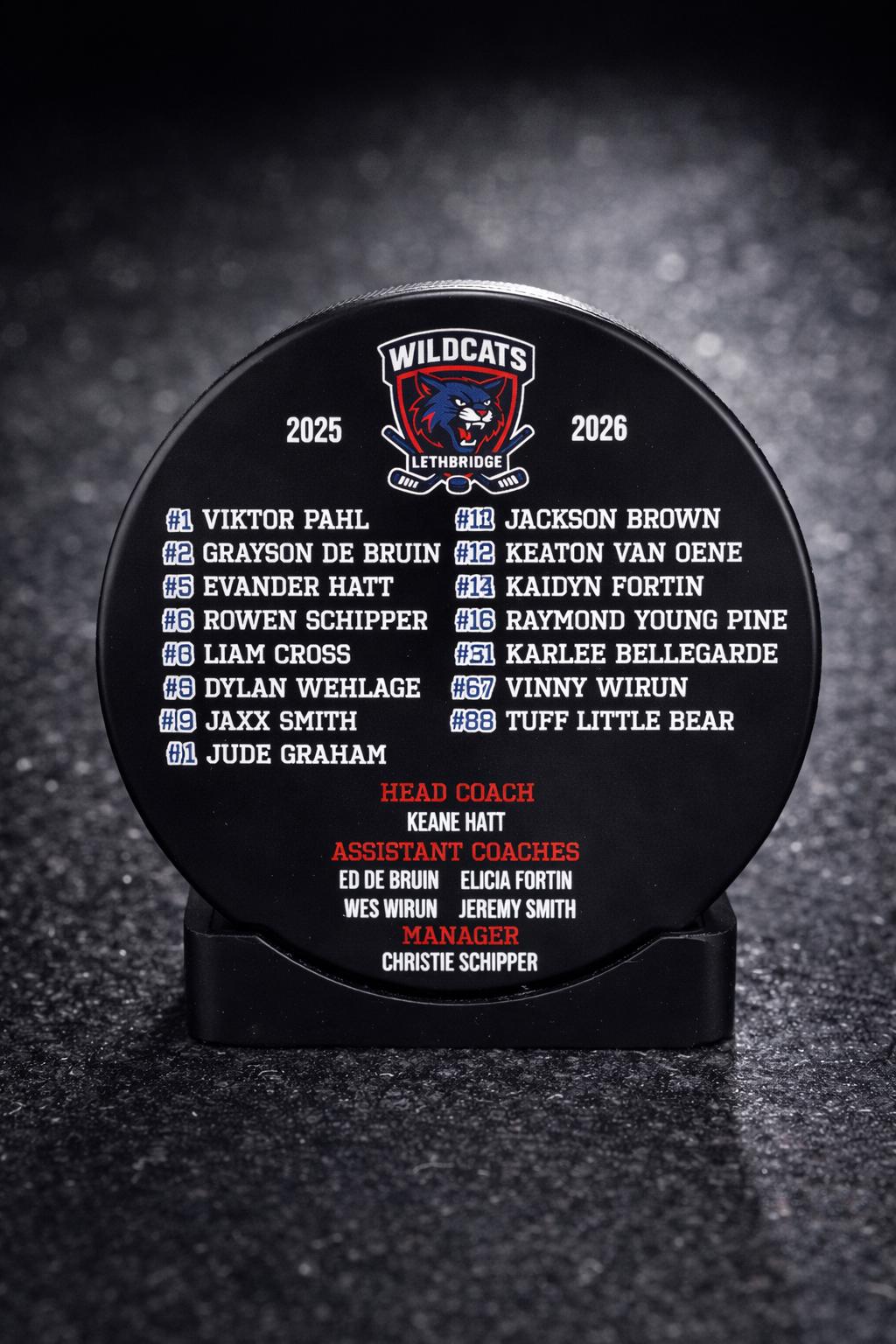 EXPRESS Custom Roster Puck, Year End Player Coach Gift, Team Logo Sport Gift, Personalized Ice Hockey Pucks, Team Memorabilia, UV printed